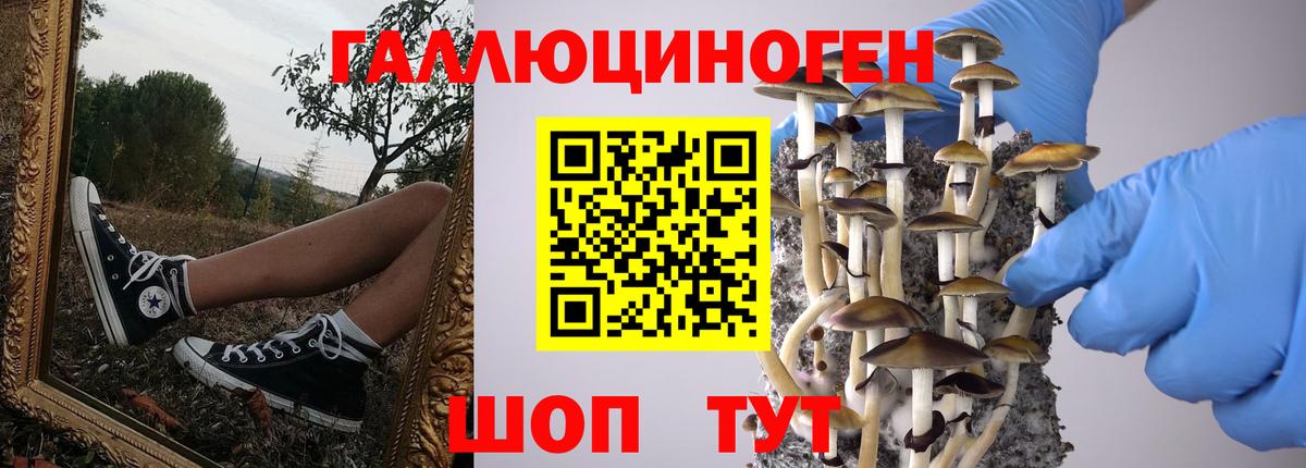 Иваново  Псилоцибиновые грибы MAGIC MUSHROOMS  купить закладку  Вход с VPN  Галлюциногенные грибы ЛСД 